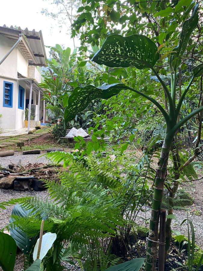 Casa Dos Ventos - Refugio, Sustentabilidade, Conexao Hospedagem domiciliar